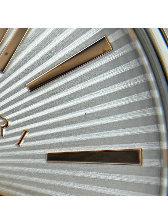 Bvlgari Watch SS PG Quartz Silver main image 6